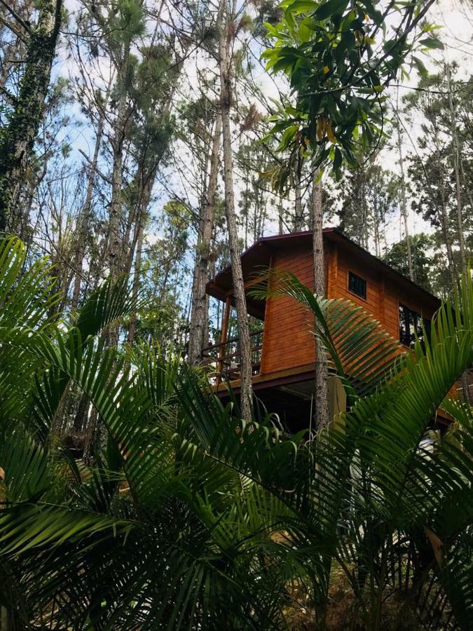 Casa De Arbol, Rancho Tierra Alta Jarabacoa Exterior foto