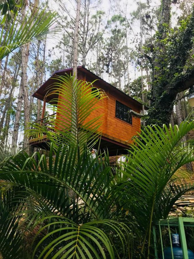 Casa De Arbol, Rancho Tierra Alta Jarabacoa Exterior foto